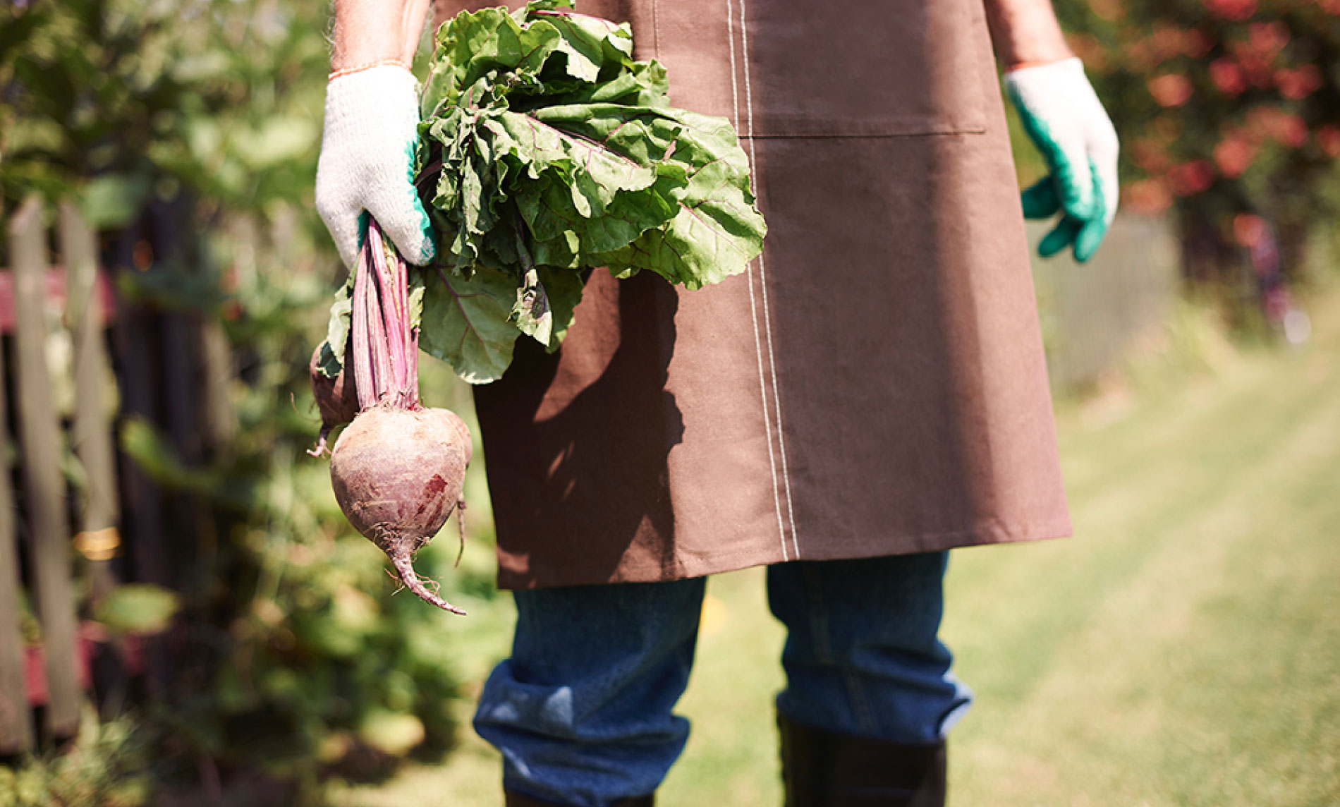 Soil Health and Fertility